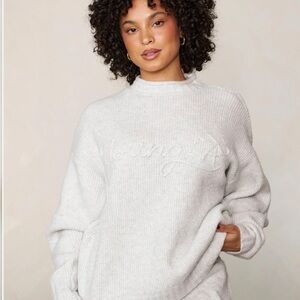 NWT Young LA Cozy Oversized Sweater grey